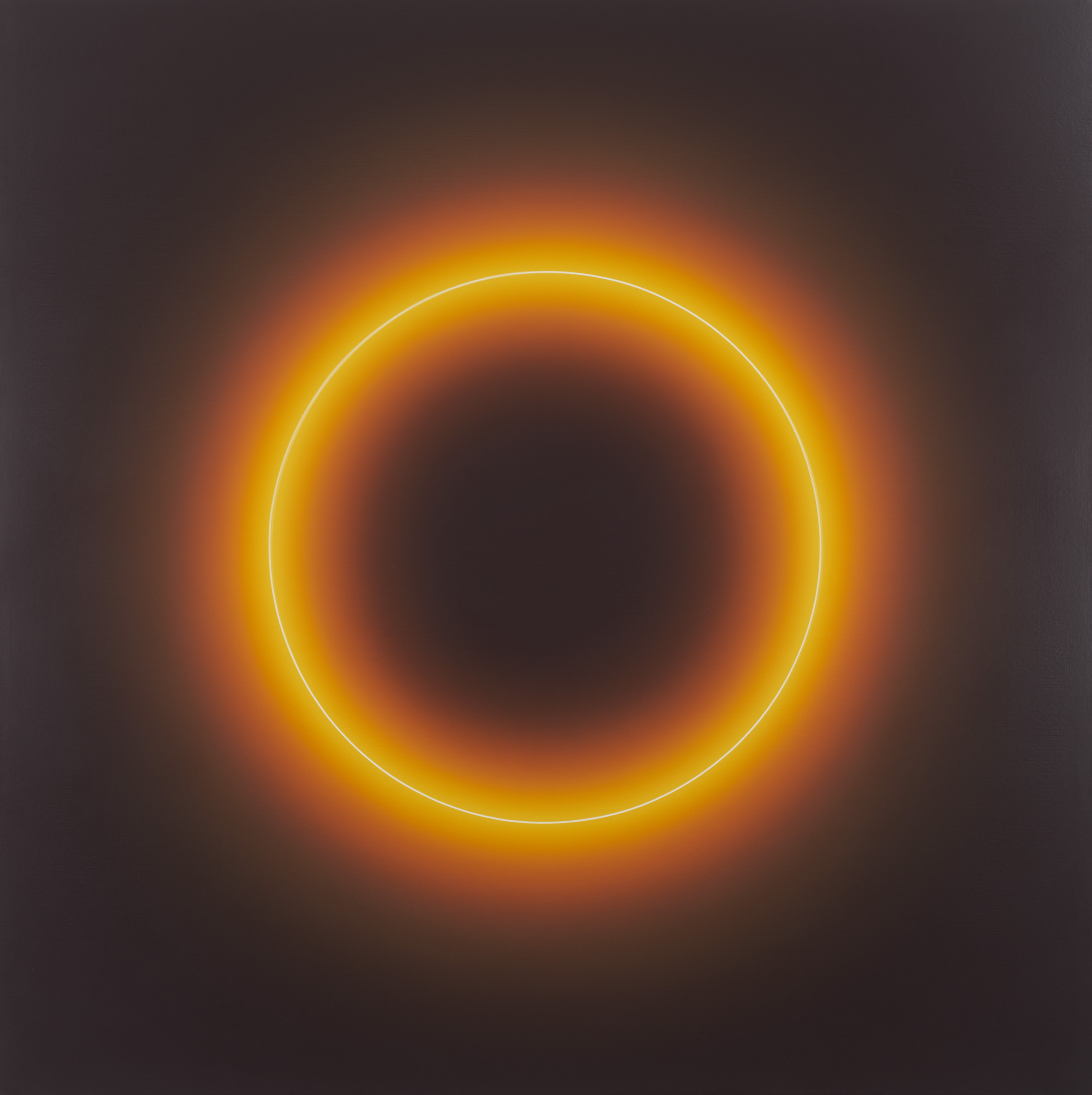 Circle White Gold Light
